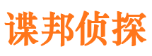 卫东市调查公司